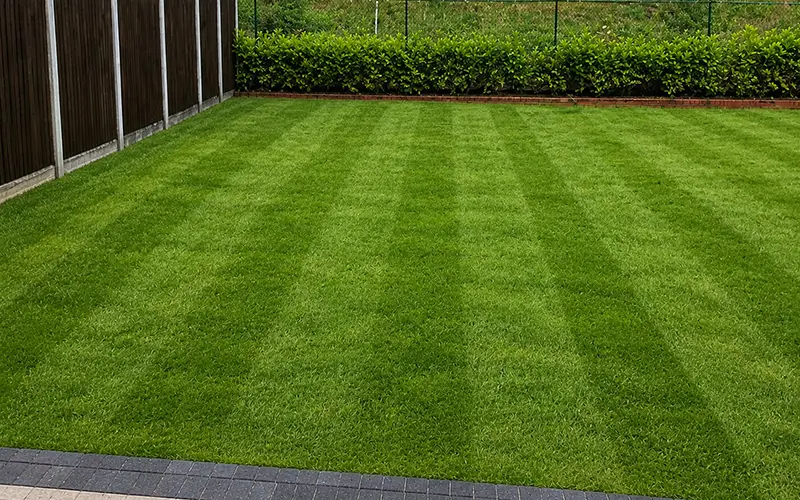 Tarmac Driveway